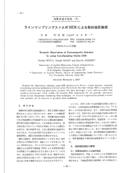ラインサンプリングストロボSEMによる動的磁区観察