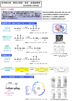 140325-研究室紹介(遺伝子実験センター用/A4).ppt