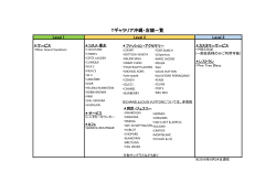 Tギャラリア沖縄・店舗一覧