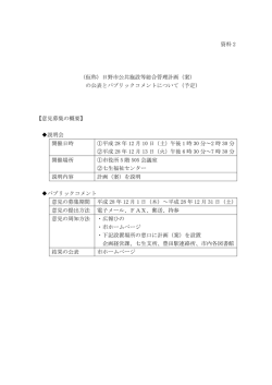 資料2 計画（案）の公表とパブリックコメントについて