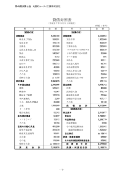 貸借対照表 - 元旦ビューティ工業株式会社