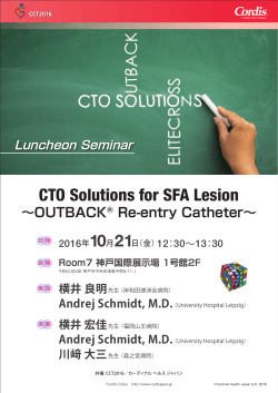 CTO Solutions for SFA Lesion