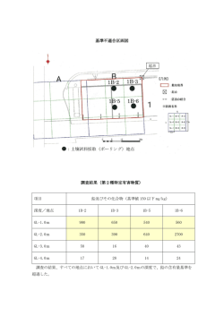調査結果