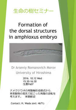 生命の樹セミナー Formation of the dorsal structures in amphioxus