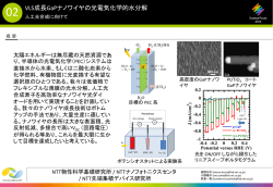 VLS成長GaPナノワイヤの光電気化学的水分解