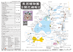 ＼Twitterもやってるよ／