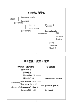 IPA素性：気流と発声