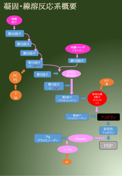 凝固反応経路図 &rarr;Radix152 49KB