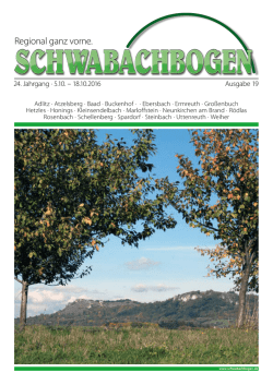 Regional ganz vorne. - Schwabachbogen-Info