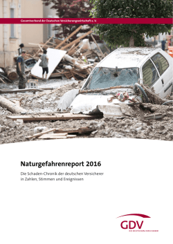 Naturgefahrenreport 2016