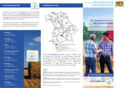 Flyer: Der Energiecheck für die Landwirtschaft