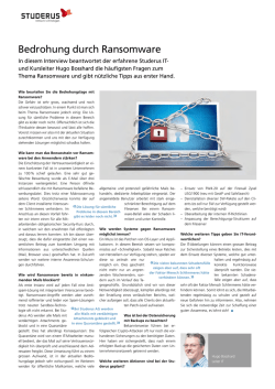 Interview als PDF