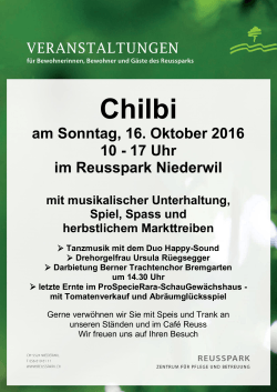 Chilbi - Reusspark