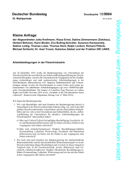 Drucksache 18/9904 - DIP