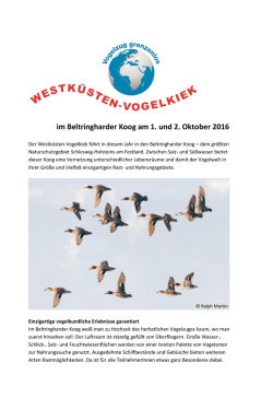 im Beltringharder Koog am 1. und 2. Oktober 2016