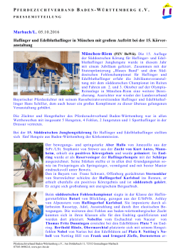 Marbach/L. 05.10.2016 Haflinger und Edelbluthaflinger in München