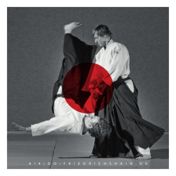 Flyer herunterladen - Aikido Friedrichshain