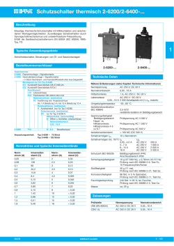Schutzschalter thermisch 2-6200/2-6400-... 1
