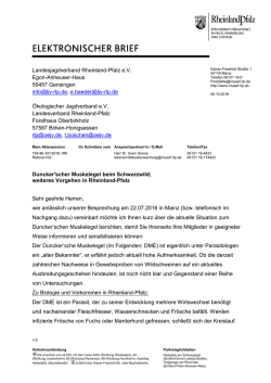 Duncker`scher Muskelegel beim Schwarzwild
