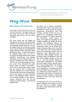 Informationsblatt zum Bundesfreiwilligendienst - zur Niels