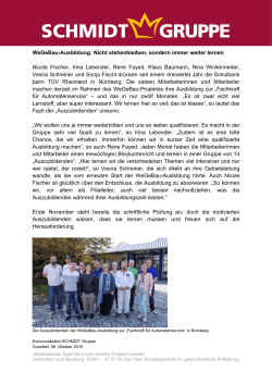 PDF - SCHMIDT Gruppe