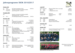 Jahresprogramm - Dominique St&uuml;ssi