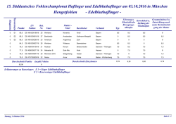 Hengstfohlen - Edelbluthaflinger