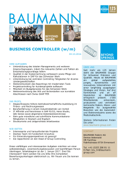 BUSINESS CONTROLLER (w/m)