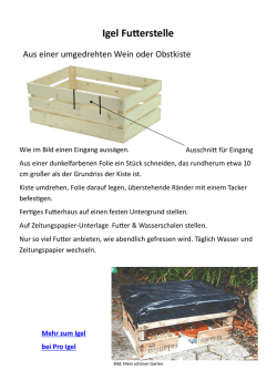 Igel Fu erstelle - bei NABU &Ouml;stlicher Kraichgau