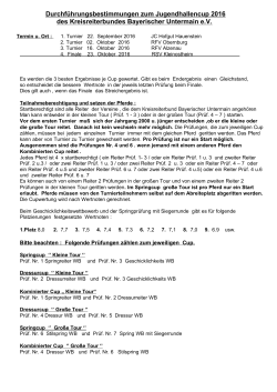 Durchf&uuml;hrungsbestimmungen zum Jugendcup 2001 - Hof