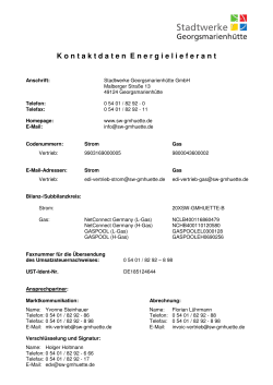Datenaustauschblatt Vertrieb - Stadtwerke Georgsmarienhütte GmbH