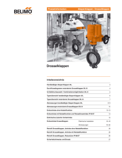 Drosselklappen