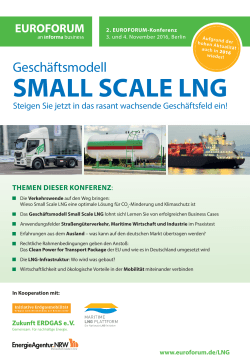 small scale lng - Maritime LNG Plattform