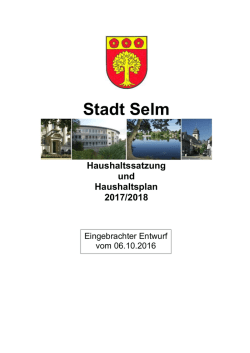 Haushaltssatzung und Haushaltsplan der Stadt