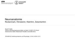 graue Substanz