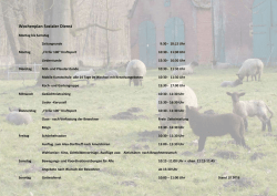 Wochenplan Sozialer Dienst