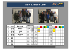 5. Bison Lauf - Austria Slotcar Racer