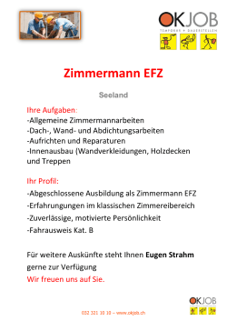 Zimmermann EFZ