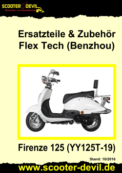 Flex Tech (Benzhou) Firenze 125 (YY125T-19)