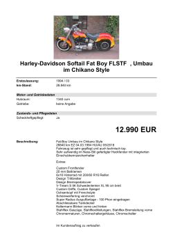 Detailansicht Harley-Davidson Softail Fat Boy FLSTF