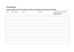 Muster Erfassungsbogen