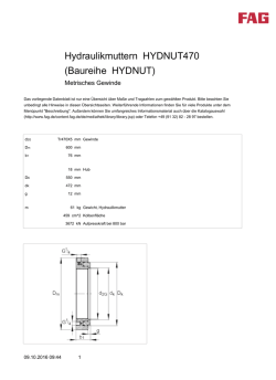 Hydraulikmuttern HYDNUT470 (Baureihe HYDNUT)