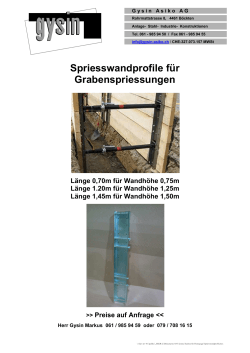 Spriesswandprofil