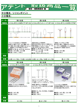 中分類名： 小分類名： シリコンポイント