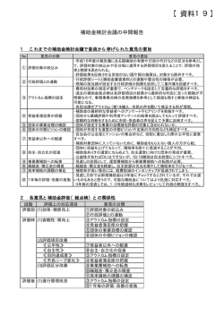 資料19 補助金検討会議の中間報告