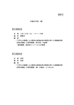 資料5 今後の予定(案)（PDF：49KB）