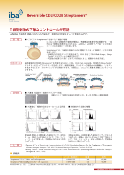 Reversible CD3/CD28 Streptamers® T 細胞刺激の正確なコントロール