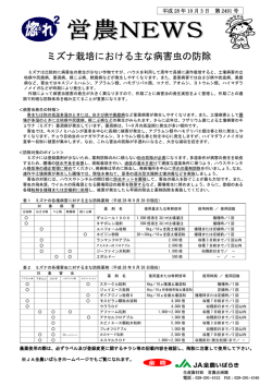 ミズナ栽培における主な病害虫の防除