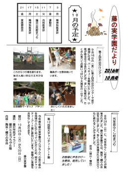 藤の実だより