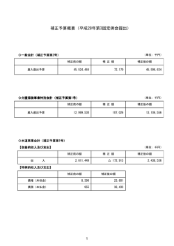 補正予算概要（平成28年第3回定例会提出）